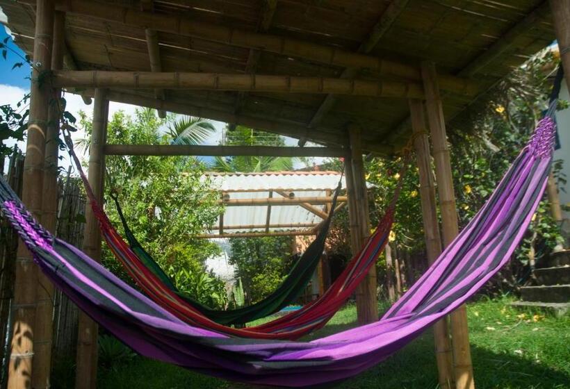 ペンション La Cigarra Casa De Huéspedes