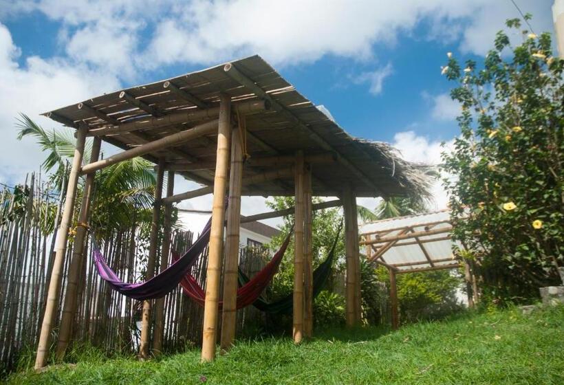 ペンション La Cigarra Casa De Huéspedes