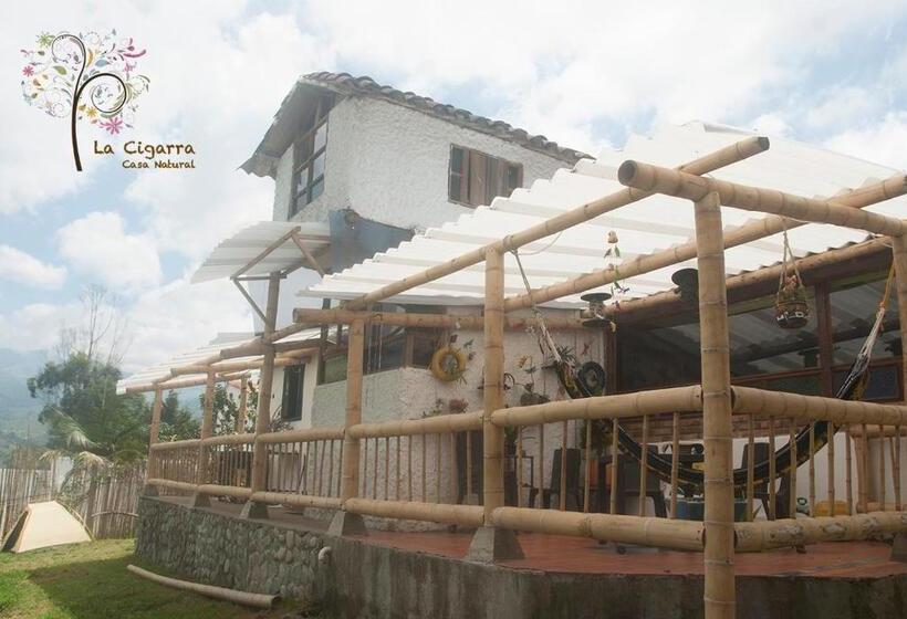 ペンション La Cigarra Casa De Huéspedes