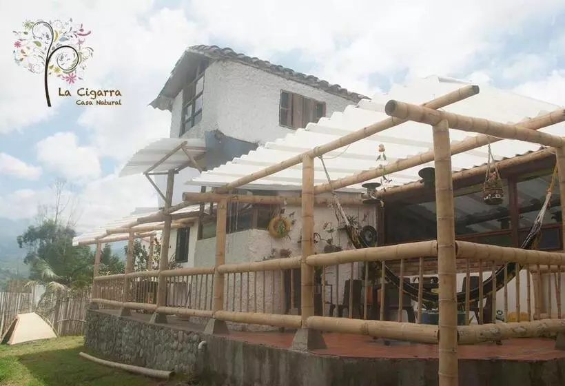 ペンション La Cigarra Casa De Huéspedes