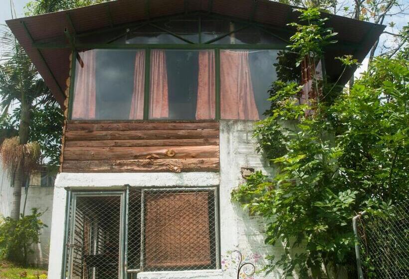 ペンション La Cigarra Casa De Huéspedes