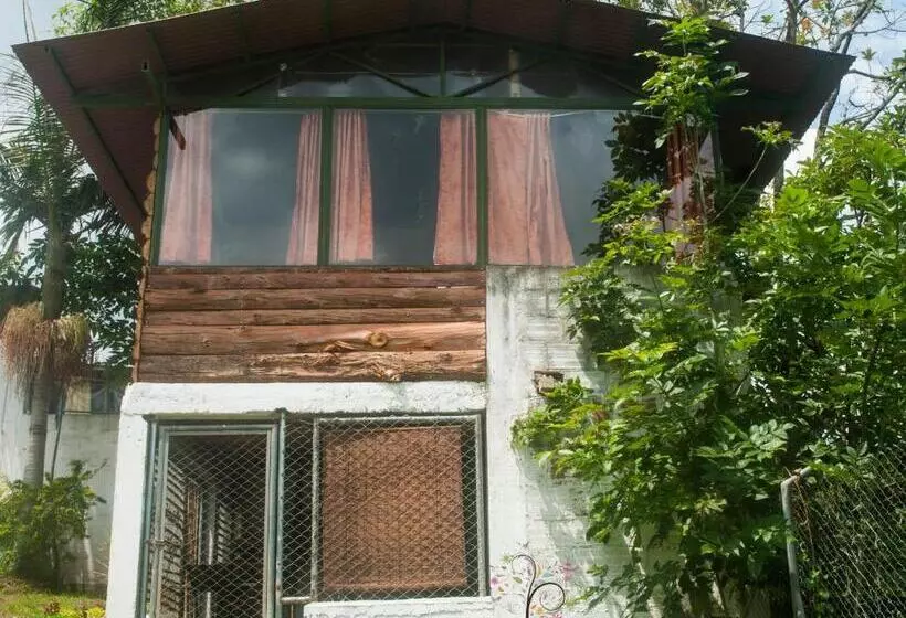 ペンション La Cigarra Casa De Huéspedes