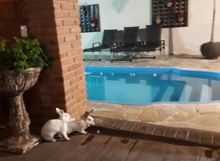 پانسیون Pousada Flores Em Vida