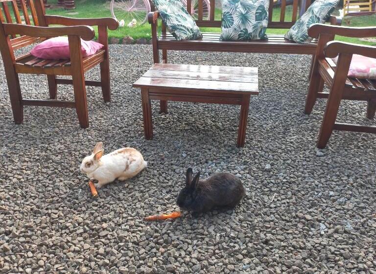 پانسیون Pousada Flores Em Vida