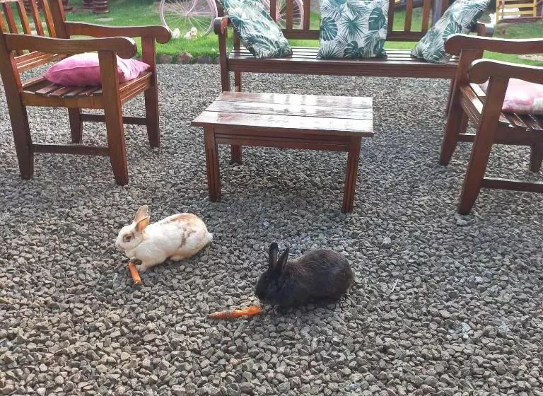 پانسیون Pousada Flores Em Vida