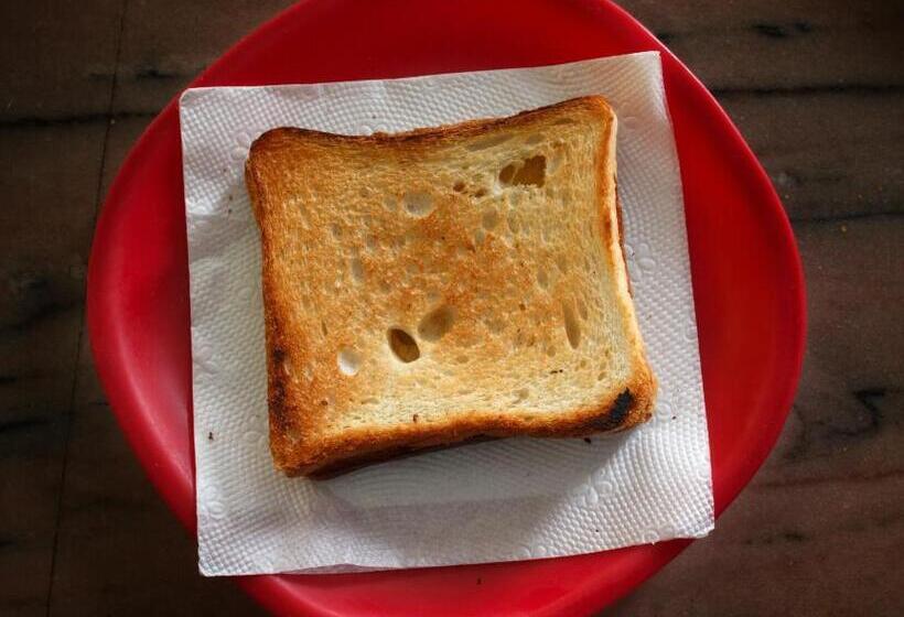 پانسیون Vishnu Rest House