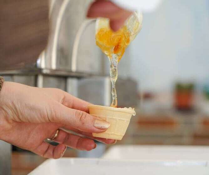 Отель Aloria Garden