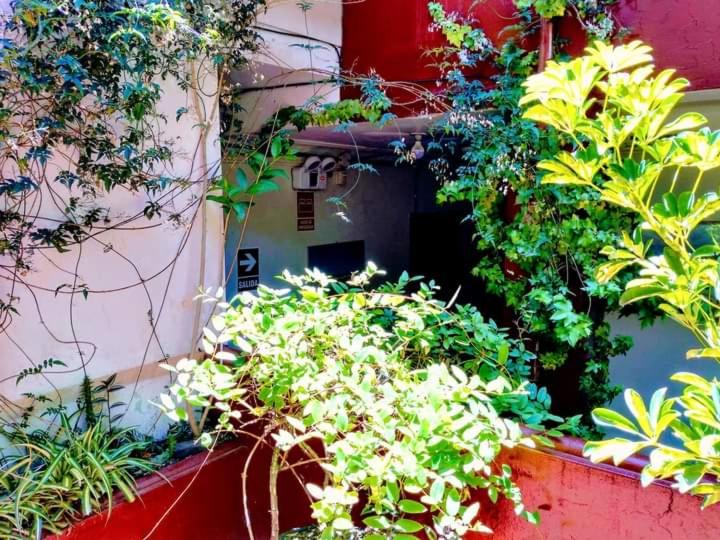 هاستل Hospedaje Nilton Huancayo