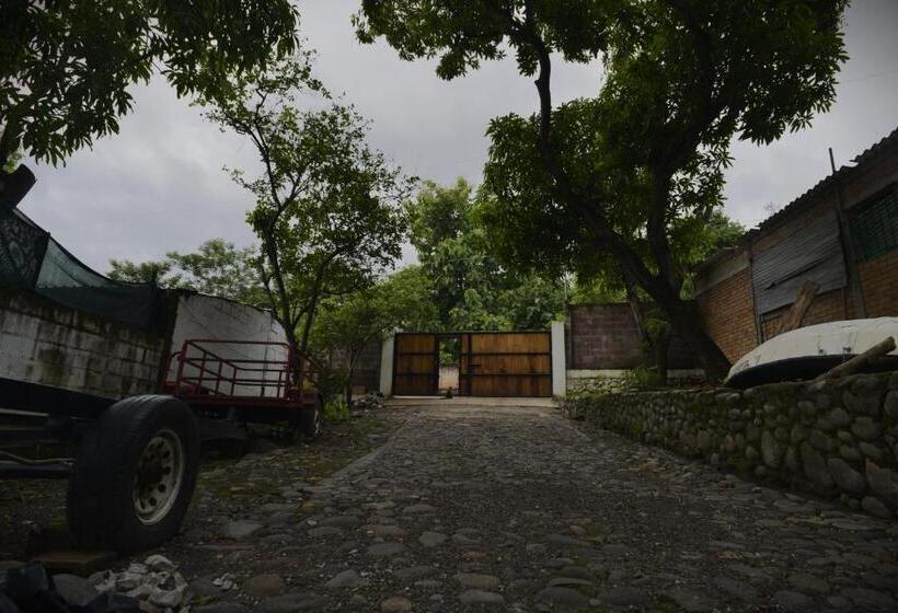 ホテル Rocasol Casa D´mar