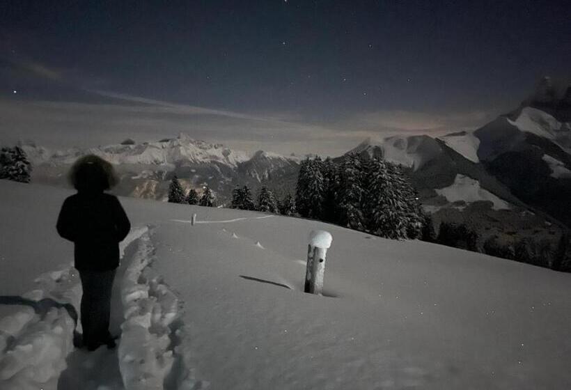 הוסטל Chalet Chanso