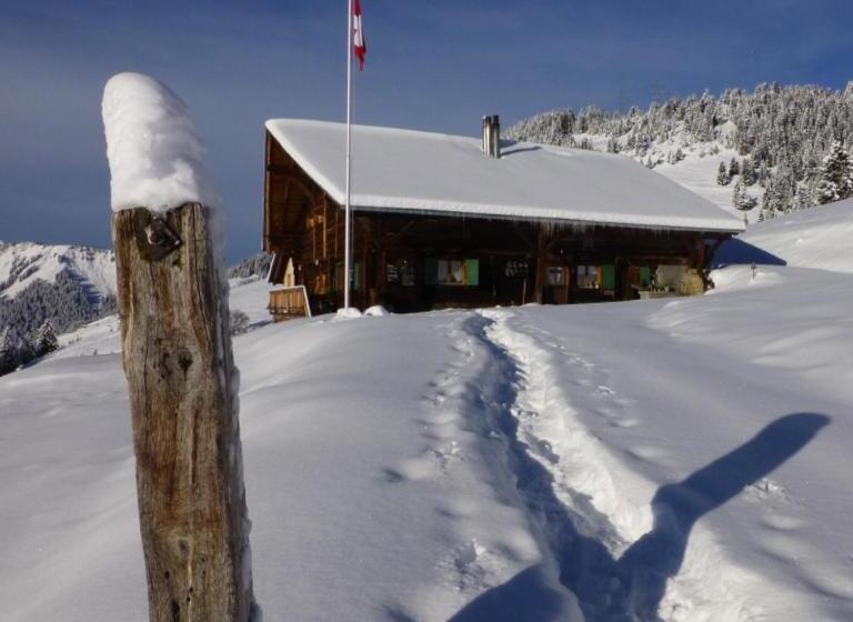 הוסטל Chalet Chanso