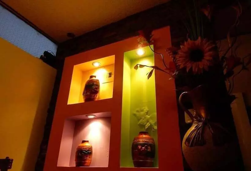 ホテル Amazonia Y Sol