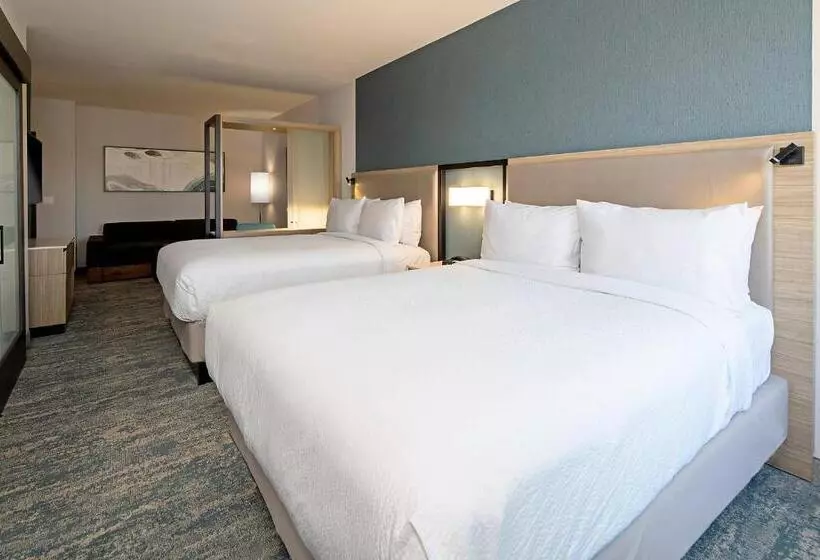 ホテル Springhill Suites By Marriott Valencia