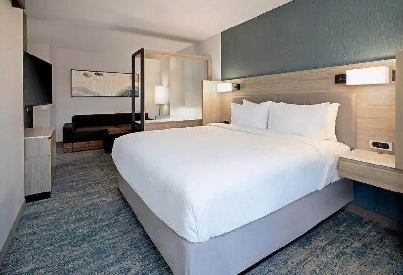 ホテル Springhill Suites By Marriott Valencia