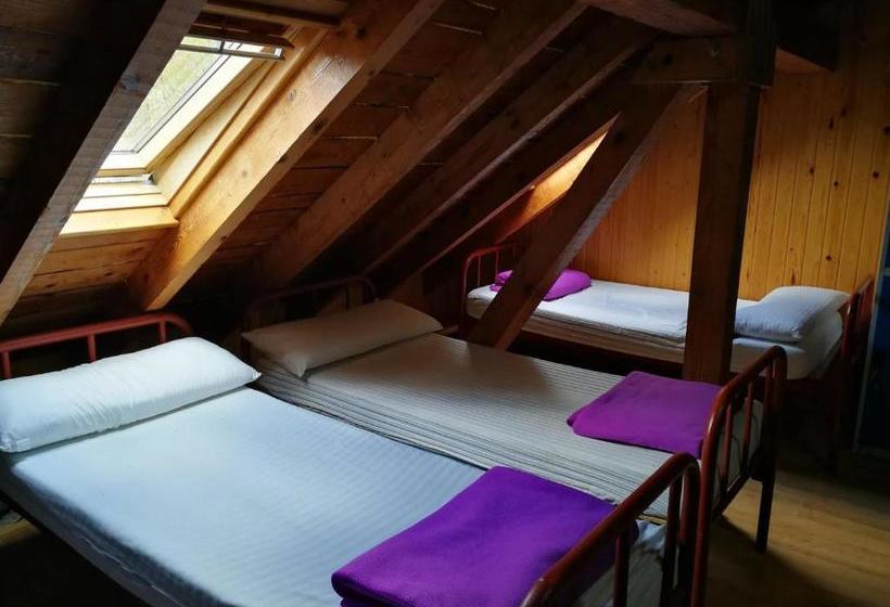 פנסיון Refugio De Conangles