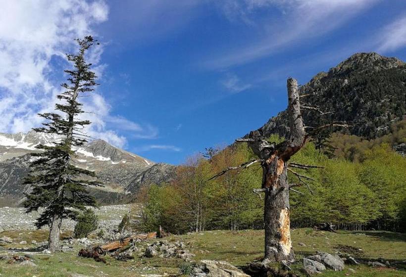 פנסיון Refugio De Conangles