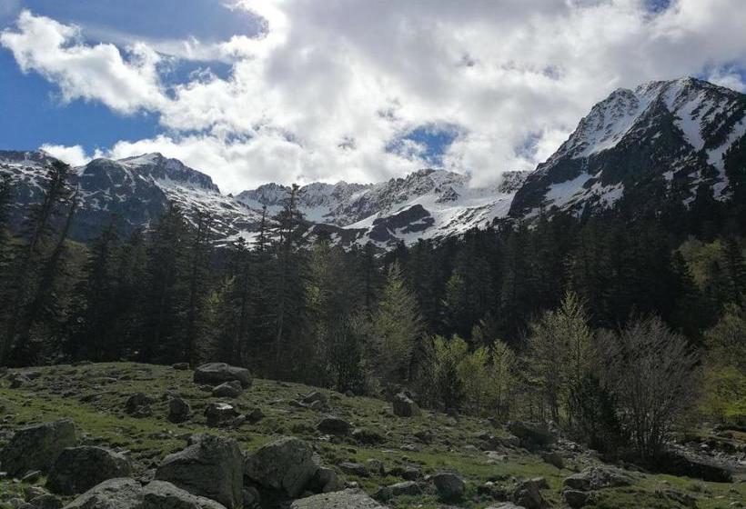 פנסיון Refugio De Conangles