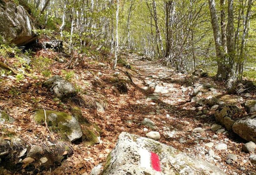 פנסיון Refugio De Conangles