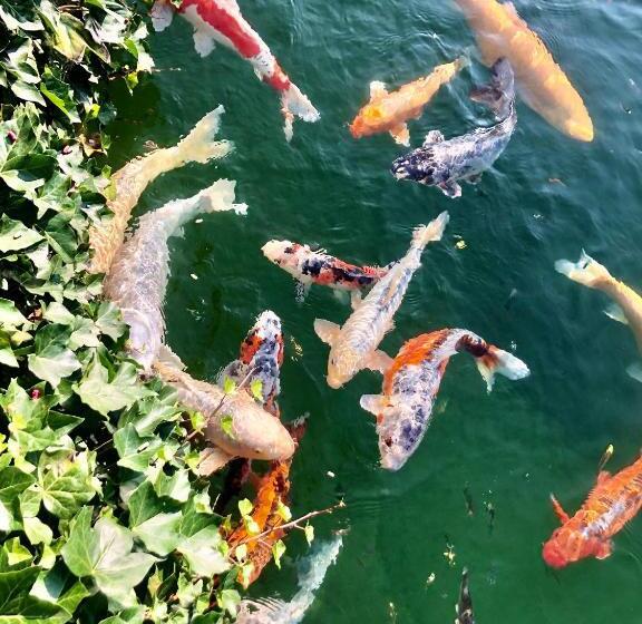 Landhuis Hotel De Hilkensberg