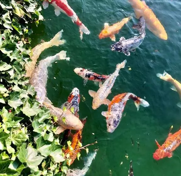 Landhuis Hotel De Hilkensberg