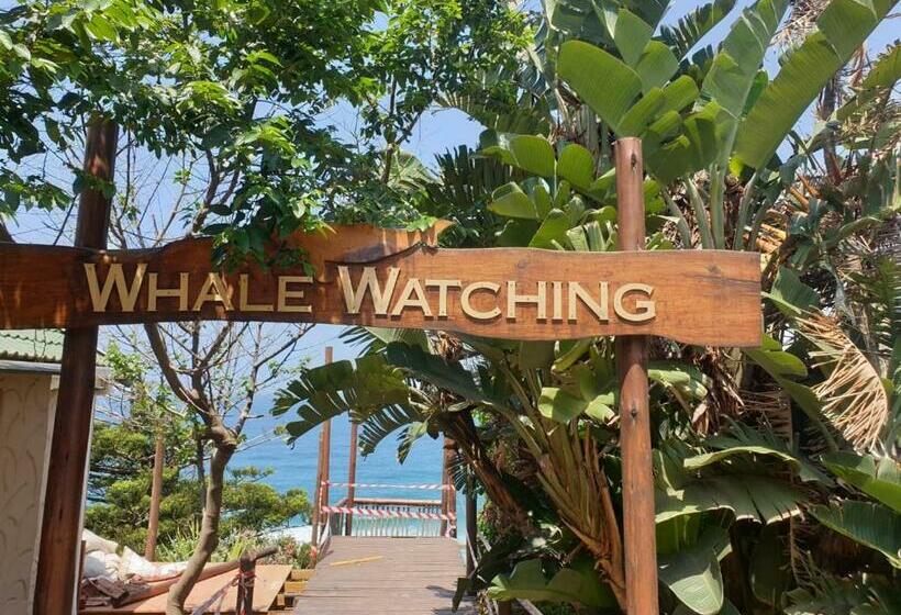 פנסיון African Sky S The Limit  Quiet, Peaceful Self Catering