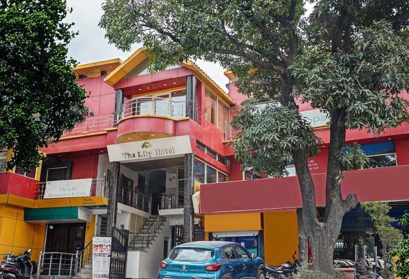 استراحتگاه The Lily