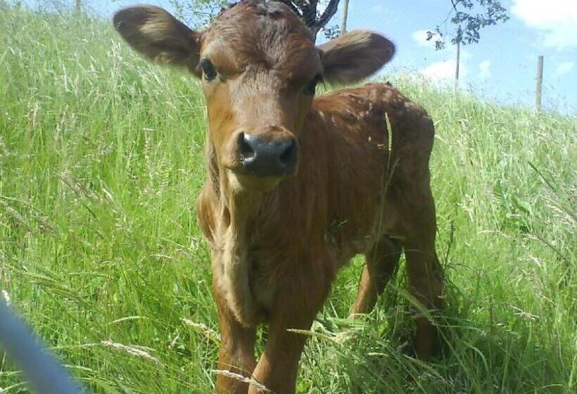 Bed And Breakfast Huobschür