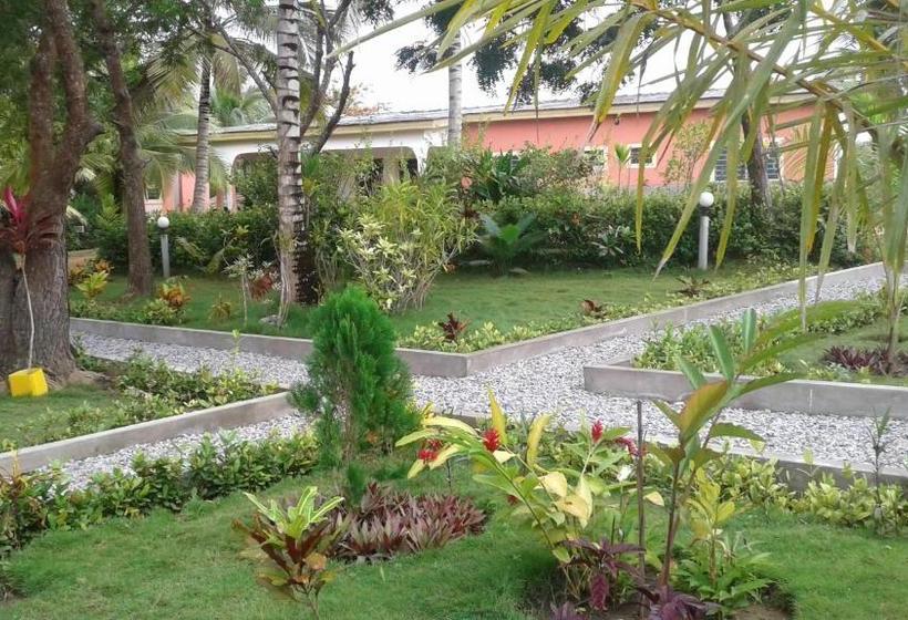 צימר Twitter Paradise