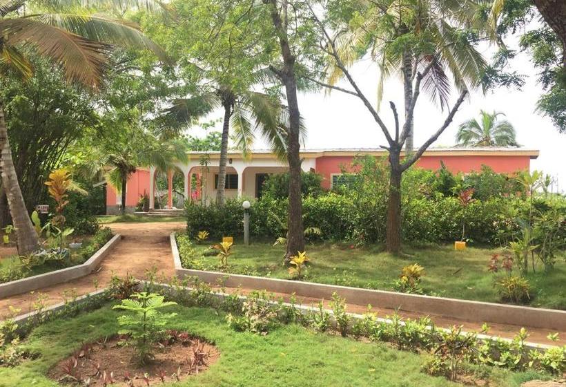 צימר Twitter Paradise