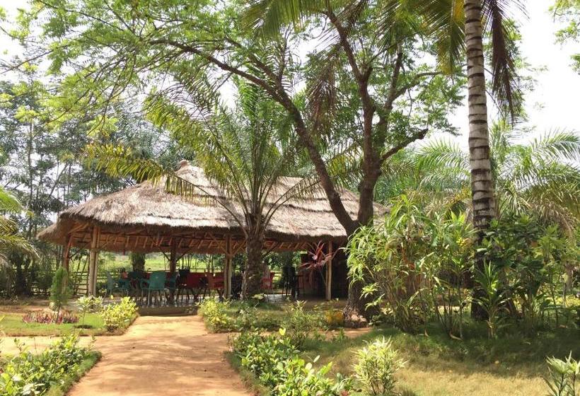 צימר Twitter Paradise