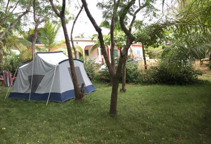 צימר Twitter Paradise