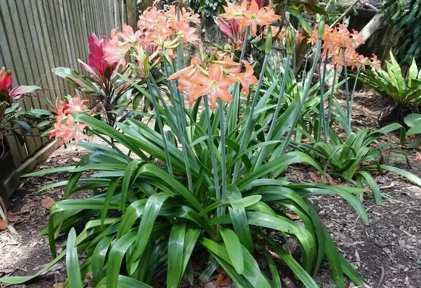 Aamiaismajoitus (B&B) Winston Cottage