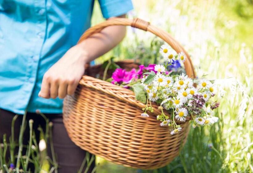 בית מלון כפרי Gasthof Zum Kramer