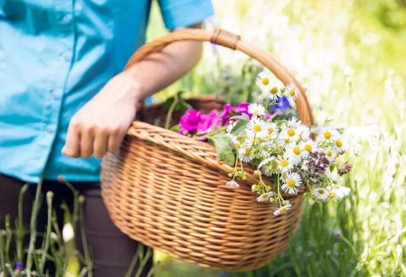 Hotelli Gasthof Zum Kramer