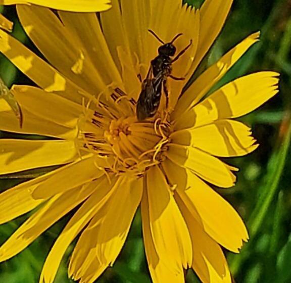 בית מלון כפרי Gasthof Zum Kramer