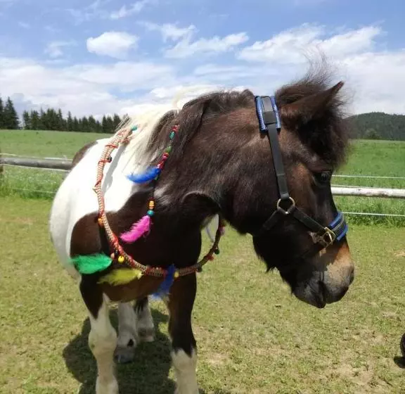 Hotelli Gasthof Zum Kramer