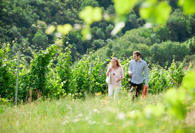 Отель Weingut Schauer