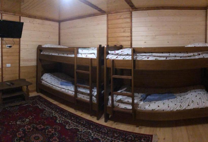 膳宿费 Guest House Dvir Pysanka