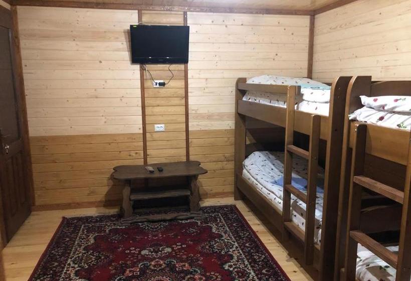 膳宿费 Guest House Dvir Pysanka