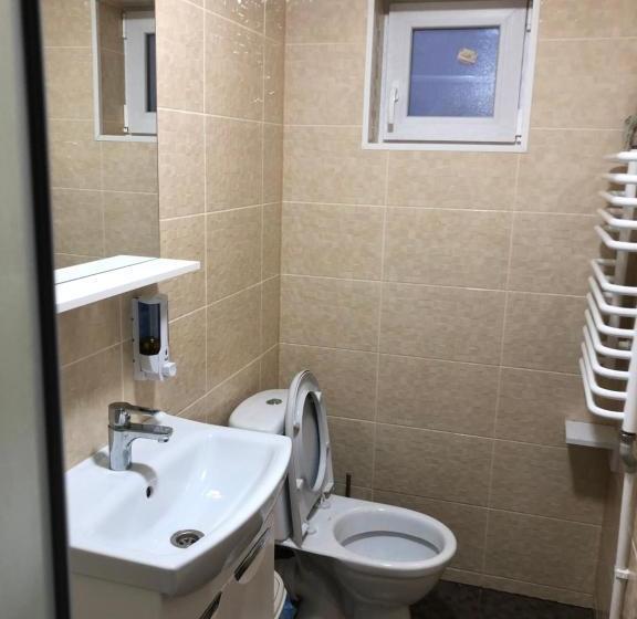 膳宿费 Guest House Dvir Pysanka