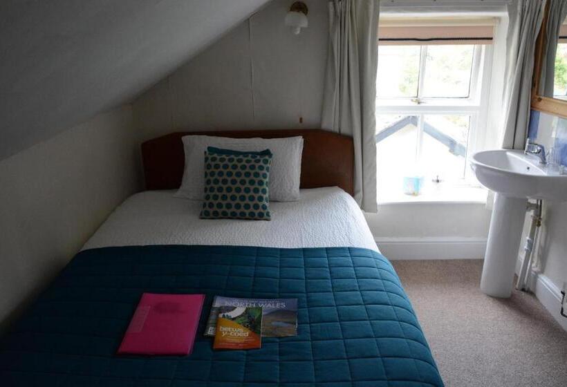 مبيت وإفطار Bryn Llewelyn