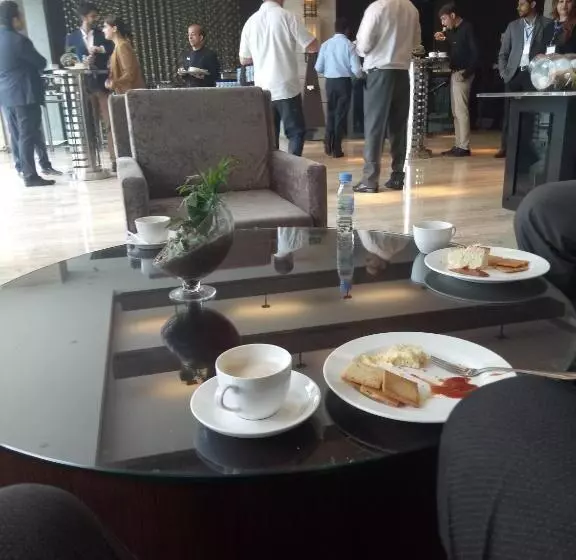 هتل King Delhi Airport