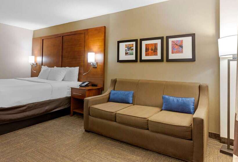 فندق Comfort Inn & Suites Presidential