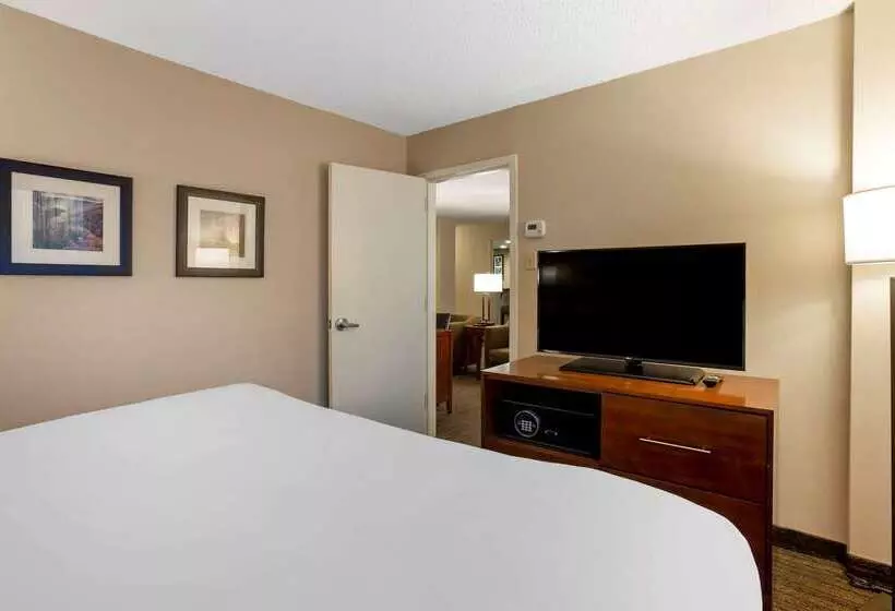 هتل Comfort Inn & Suites Presidential