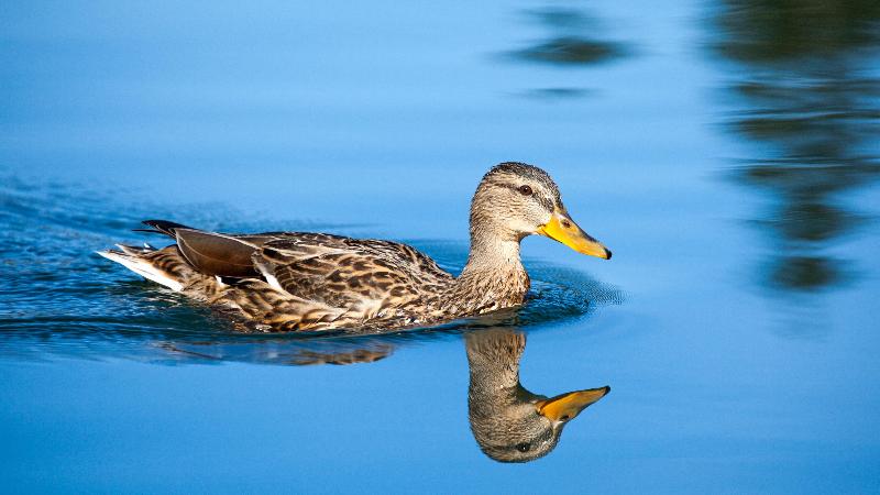 فندق Holiday Inn Express London Gatwick   Crawley By Ihg