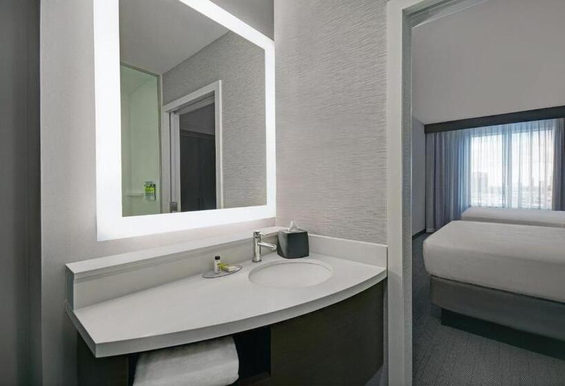 فندق Holiday Inn Express Houston   Galleria Area By Ihg