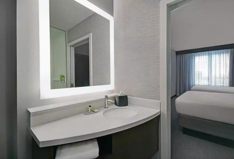 Hotelli Holiday Inn Express Houston   Galleria Area By Ihg