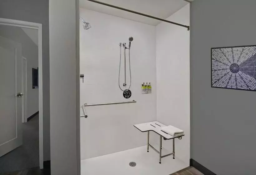 Hotelli Holiday Inn Express Houston   Galleria Area By Ihg