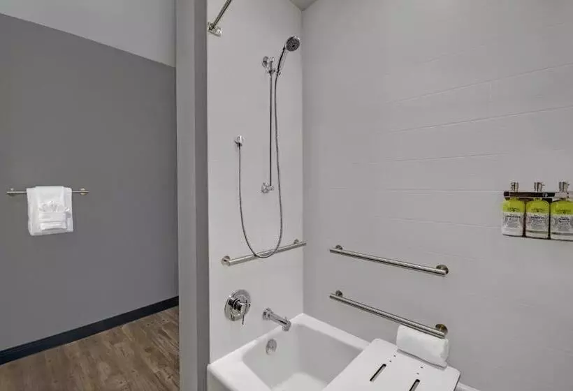 Hotelli Holiday Inn Express Houston   Galleria Area By Ihg