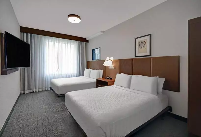 Hotelli Holiday Inn Express Houston   Galleria Area By Ihg